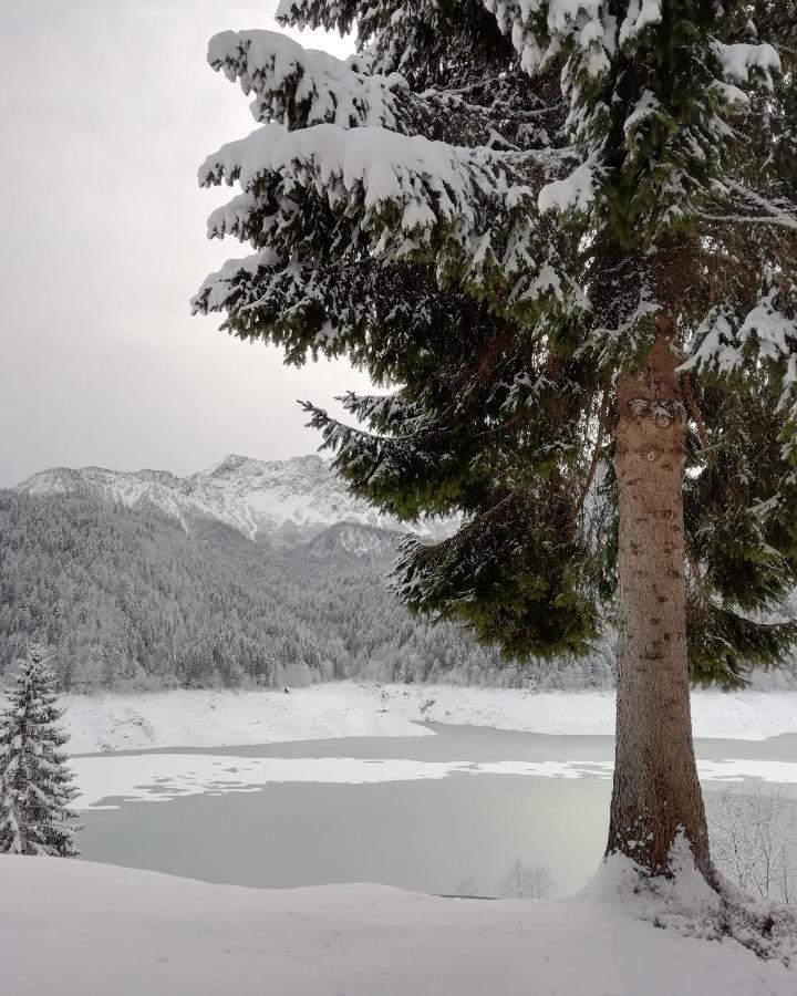 Elison-On The Lake B&B Sauris Exterior foto